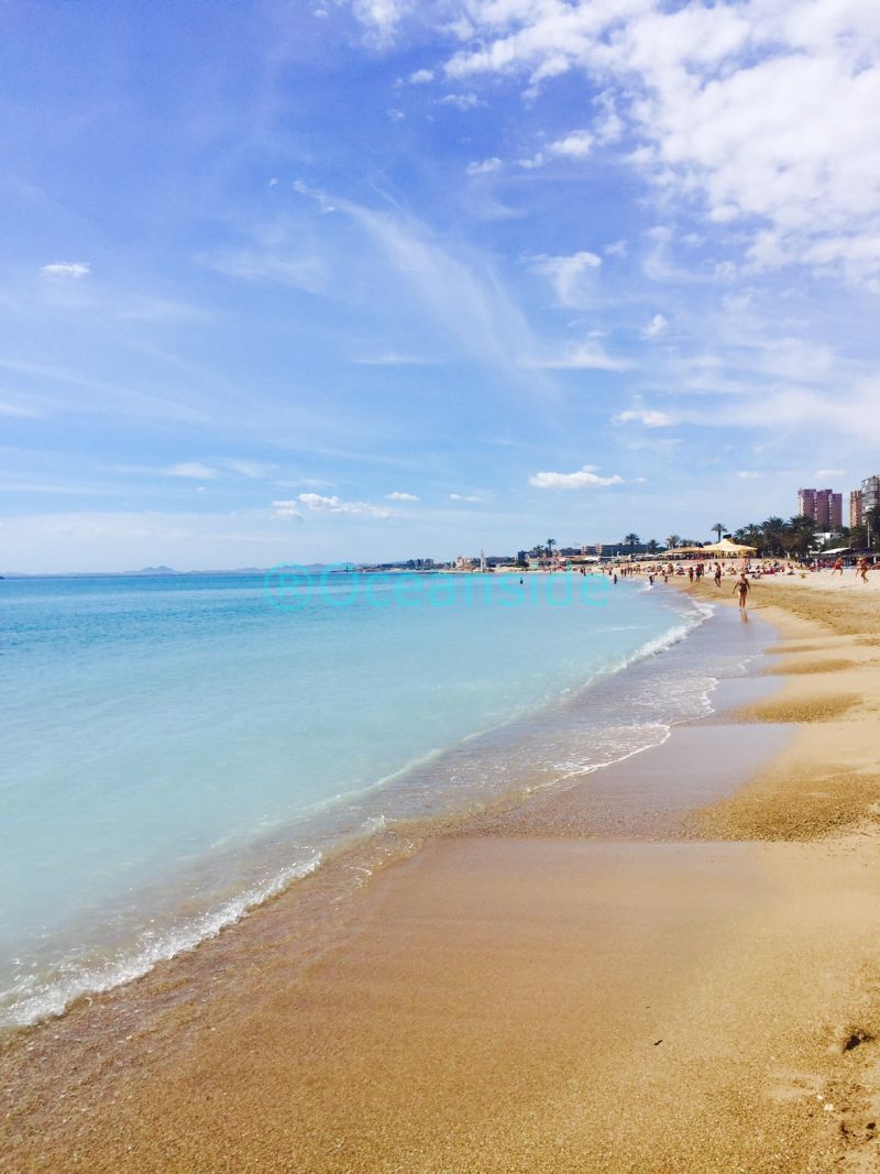 Villa en venta en Torrevieja