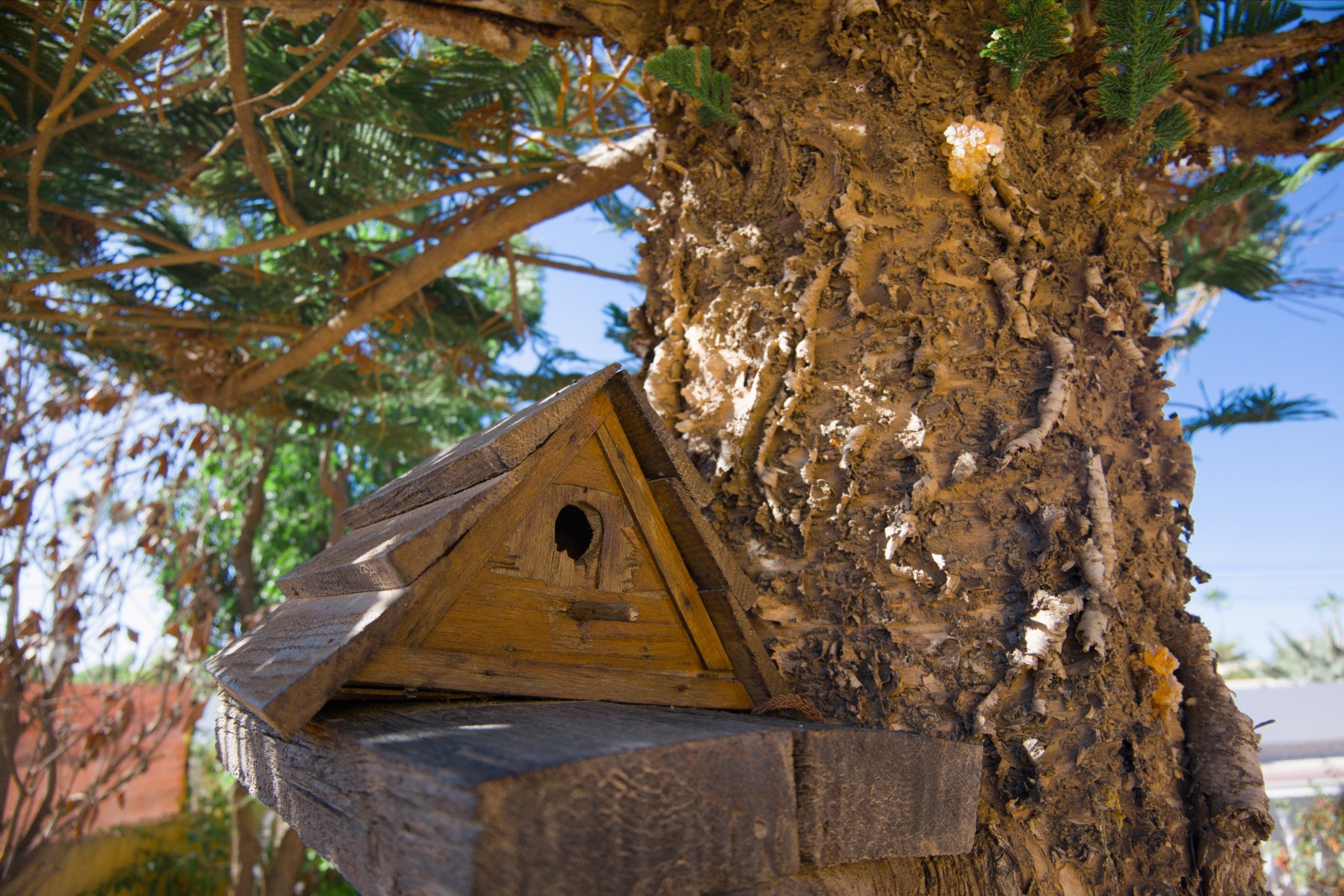 Villa en venta en La Siesta - El Salado - Torreta (Torrevieja)