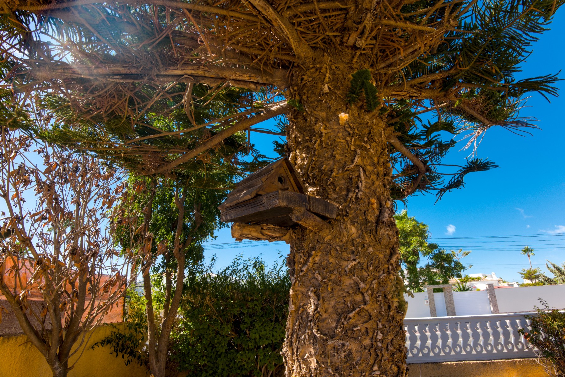 Villa en venta en La Siesta - El Salado - Torreta (Torrevieja)