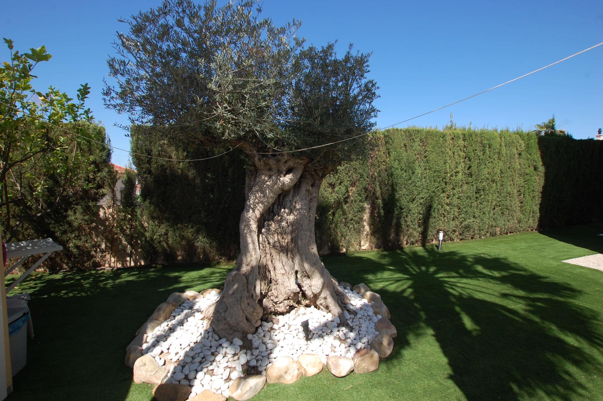 Villa en venta en Ciudad Quesada