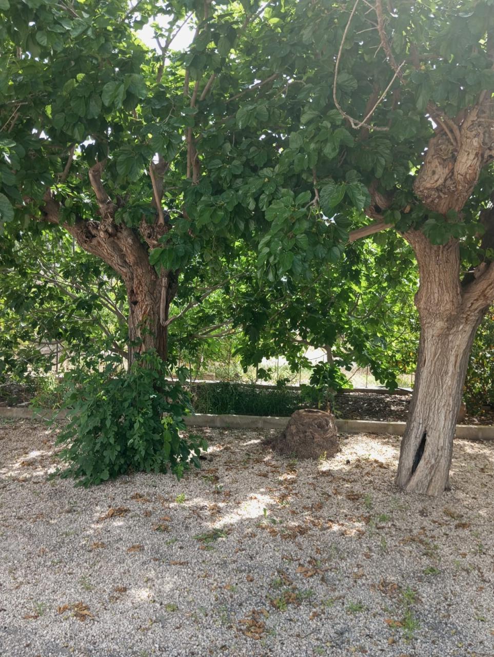 Casa en venta en Redován