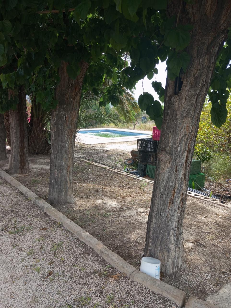 Casa en venta en Redován