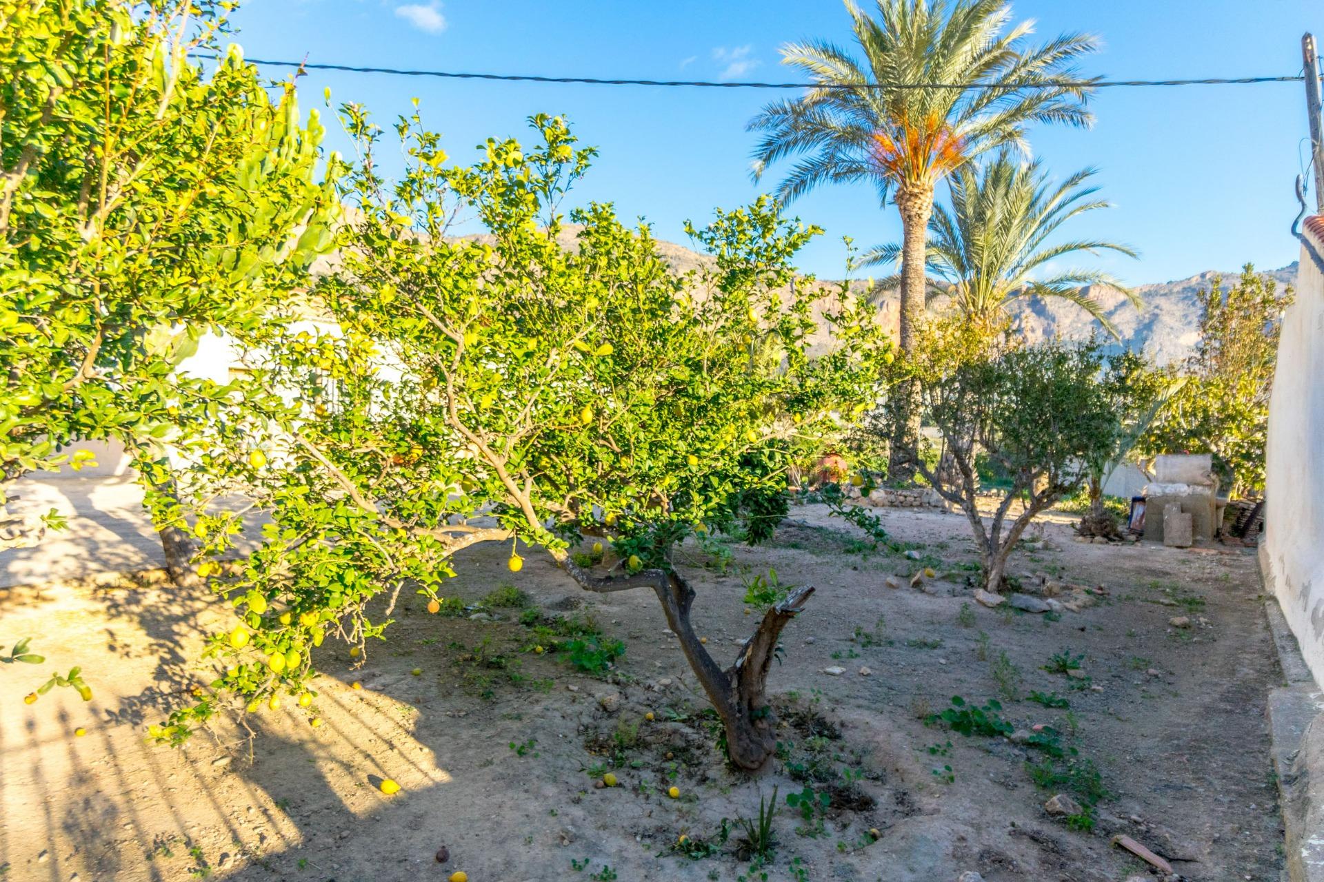 Casa en venta en Orihuela