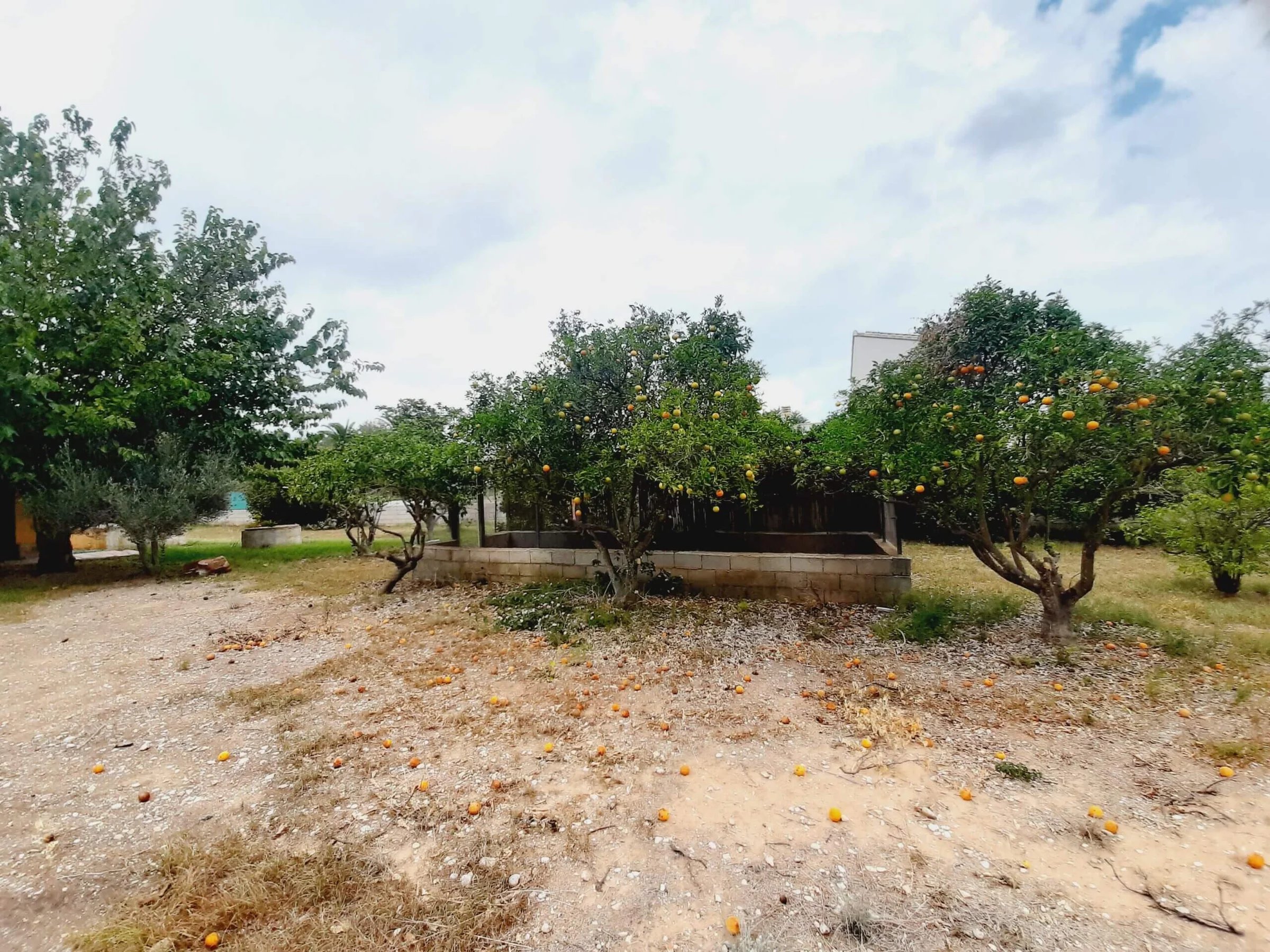 Villa en vente à Jávea