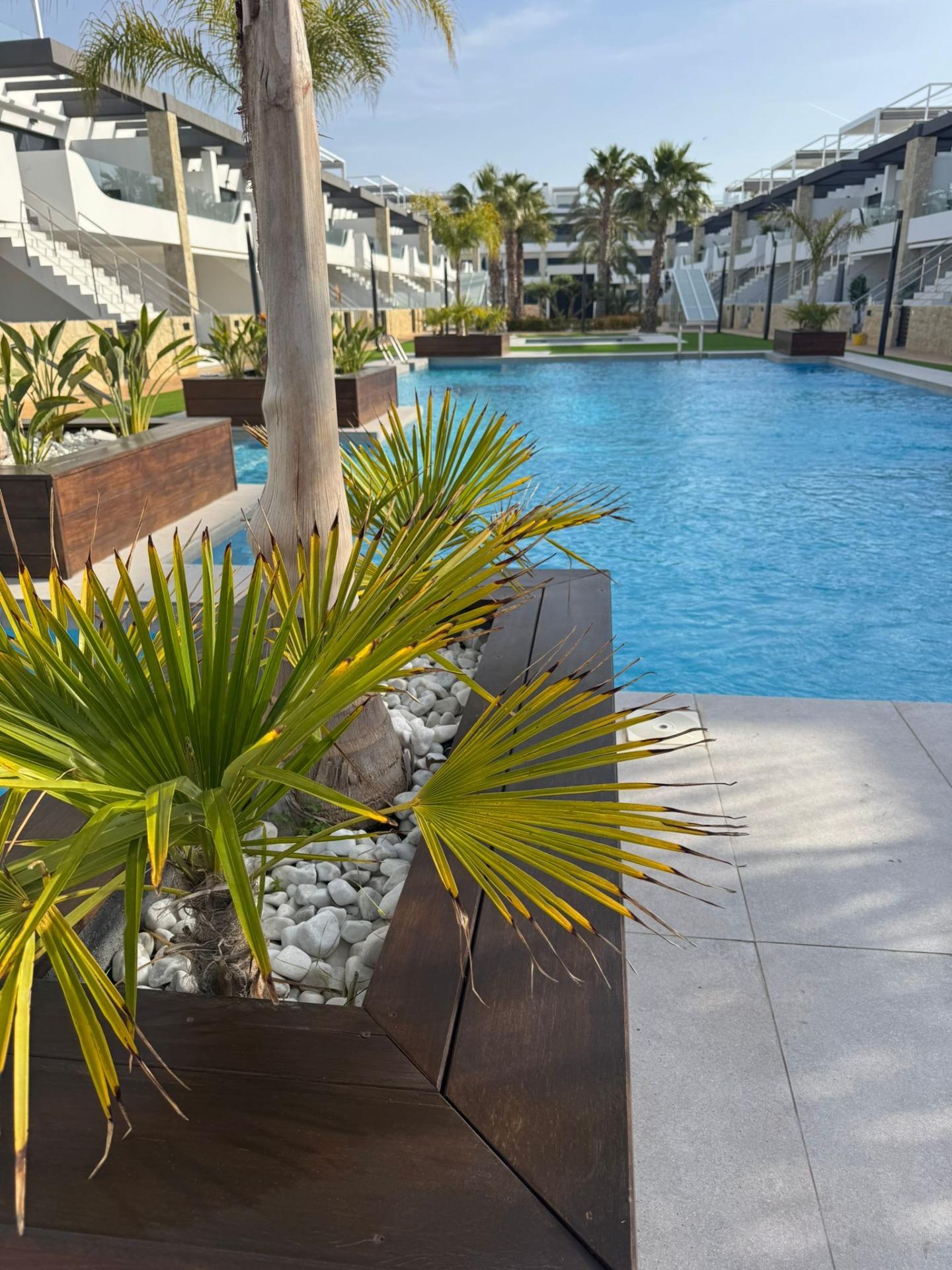 Appartment zum verkauf in Orihuela Costa