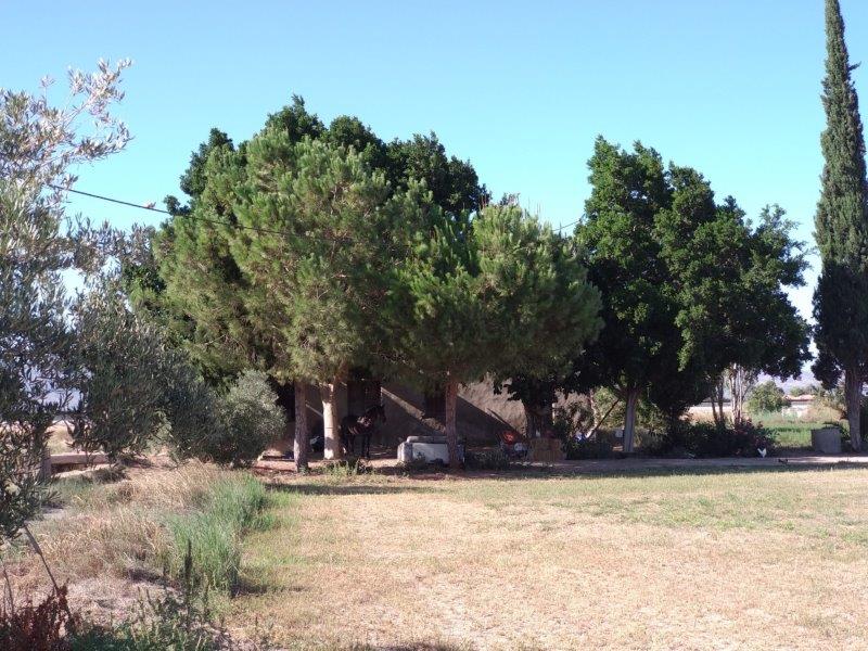 قطعة أرض للبيع في Callosa de Segura