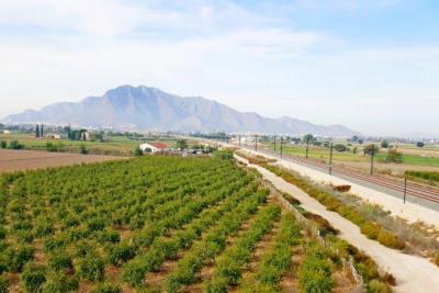 Country Property v prodeji in Callosa de Segura