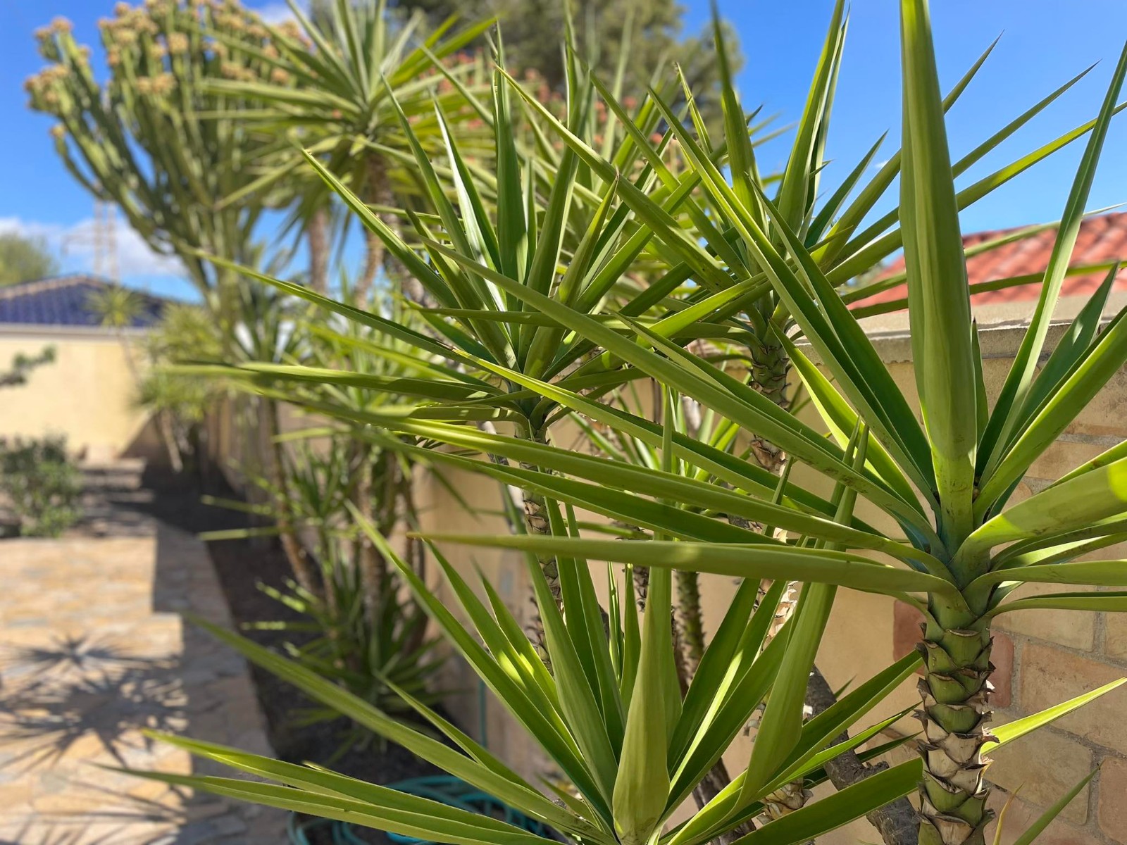 Villa en venta en Orihuela Costa