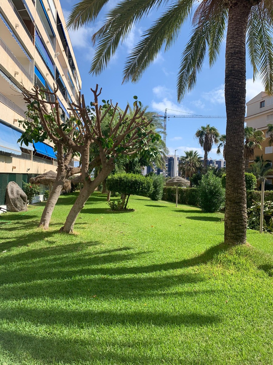 Apartamento en venta en Orihuela Costa