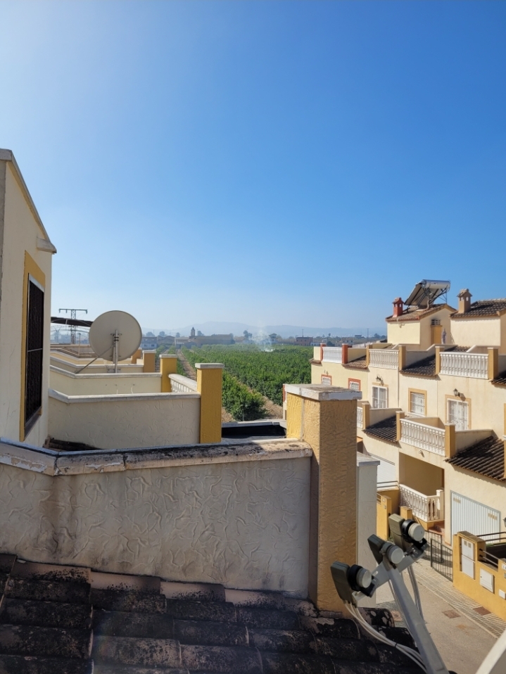 Duplexa salgai in Orihuela