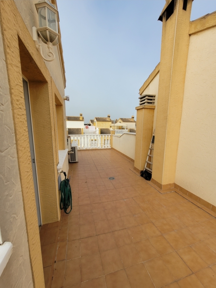 Duplexa salgai in Orihuela