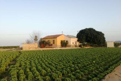 Villa en venta en Orihuela