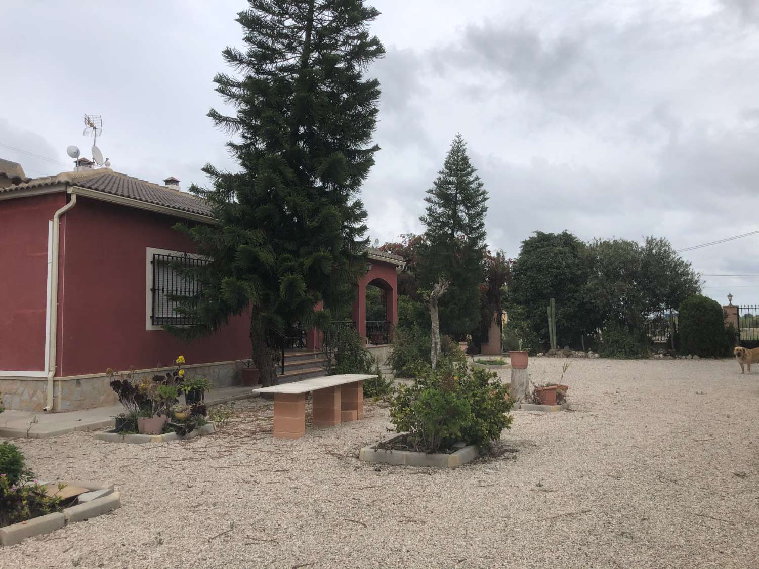 Etxea salgai in Callosa de Segura