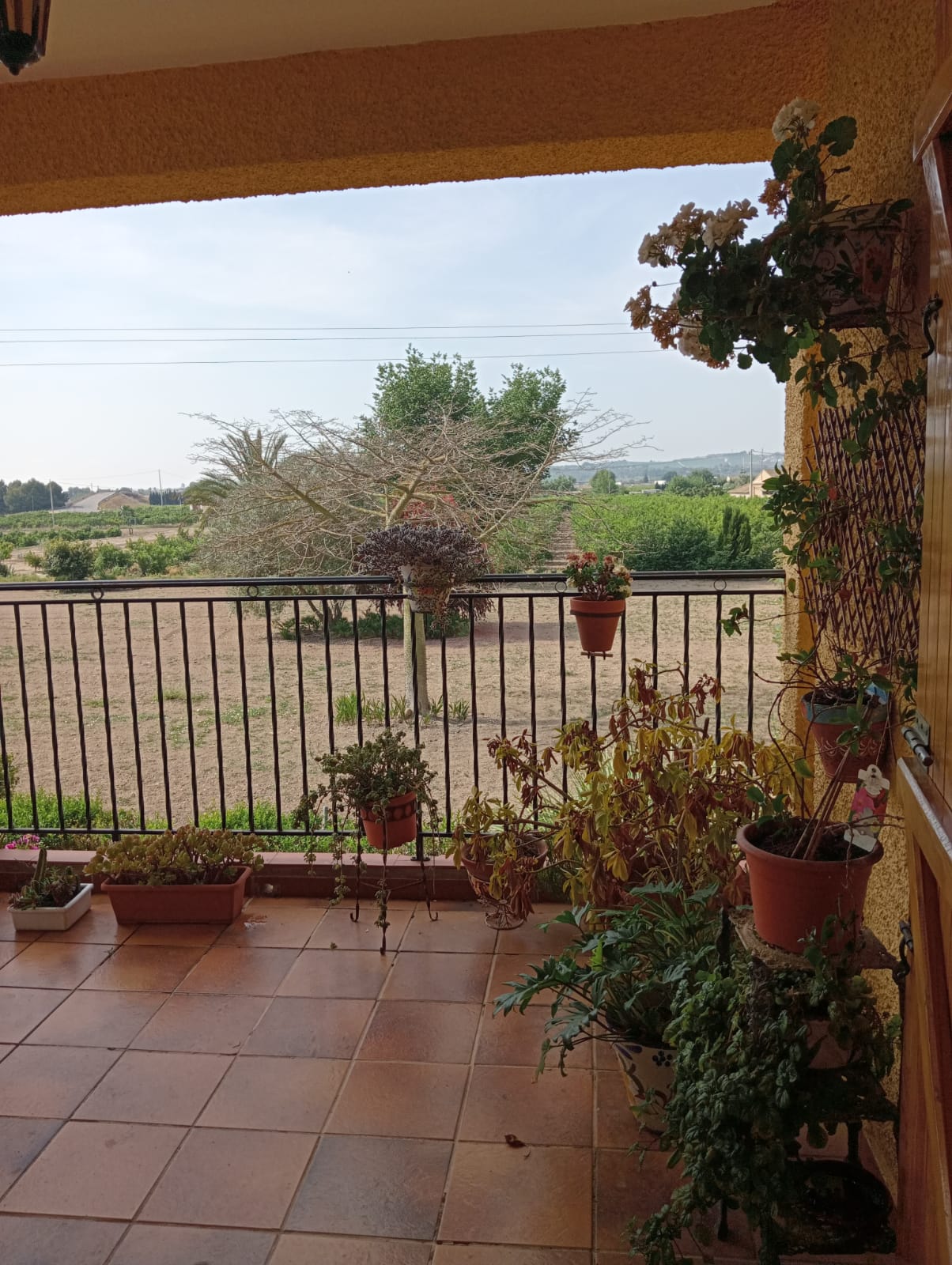 Country Property salgai in Daya Nueva