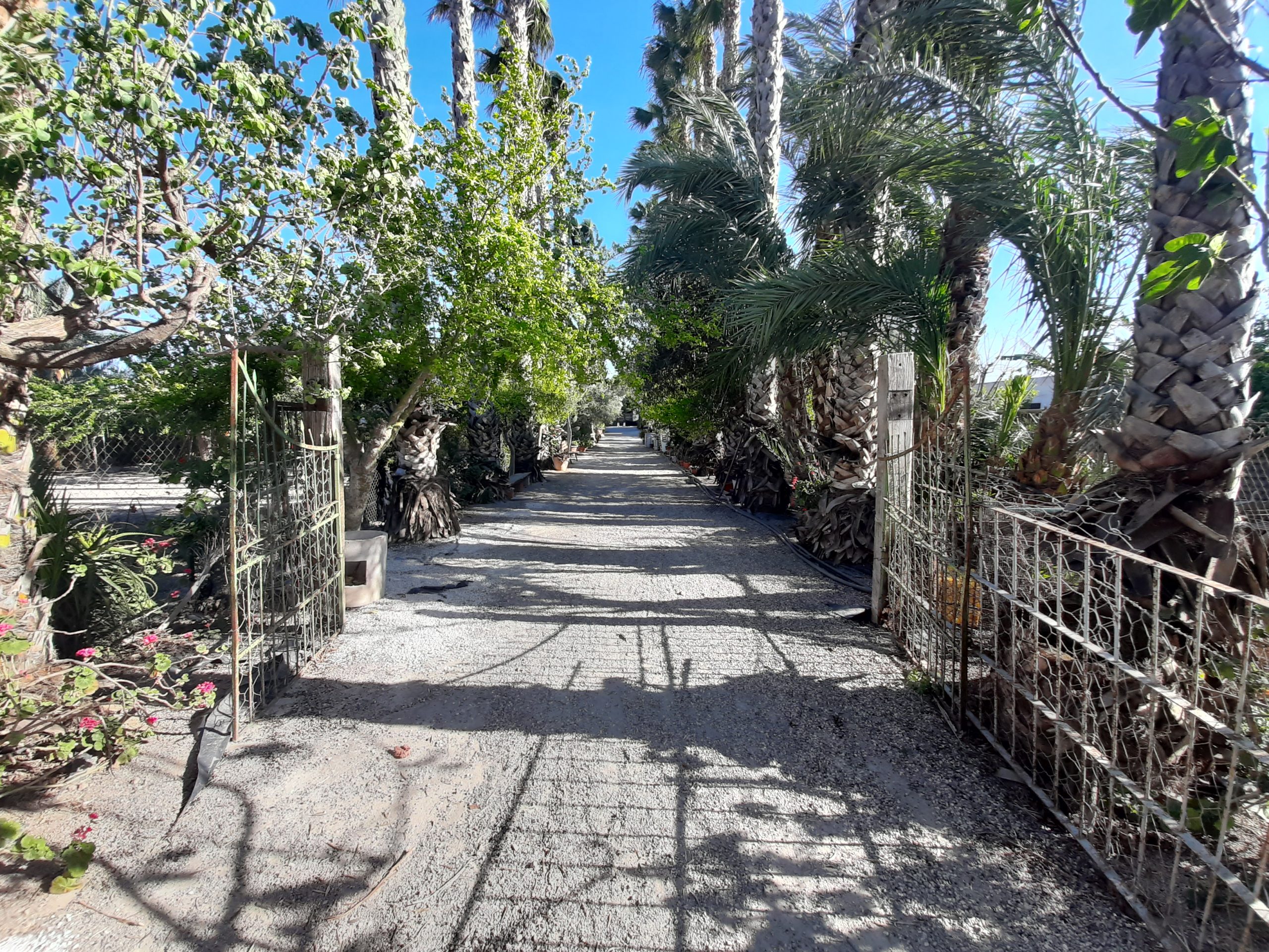 别墅 出售 在 Orihuela