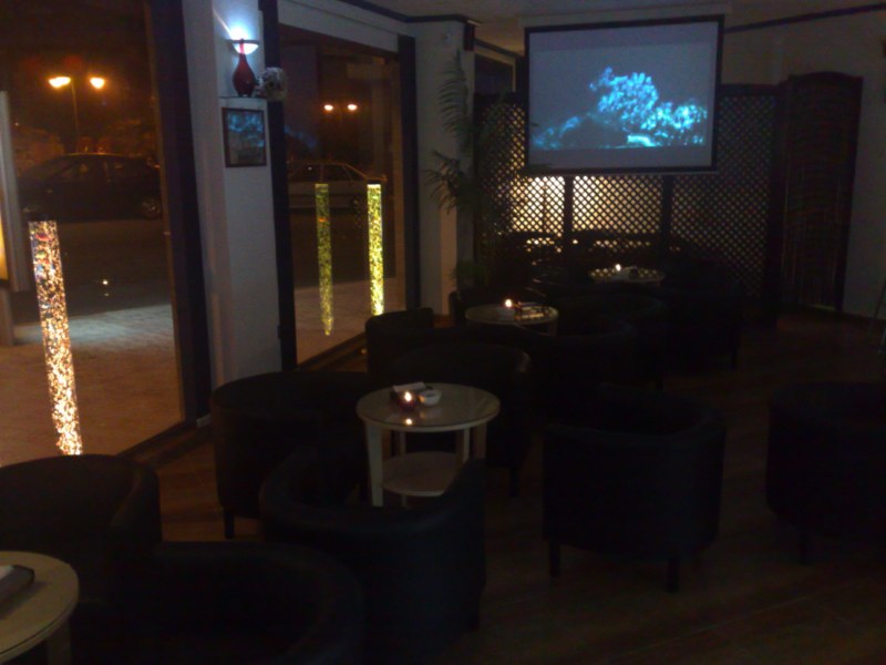 Business salgai in Torrevieja