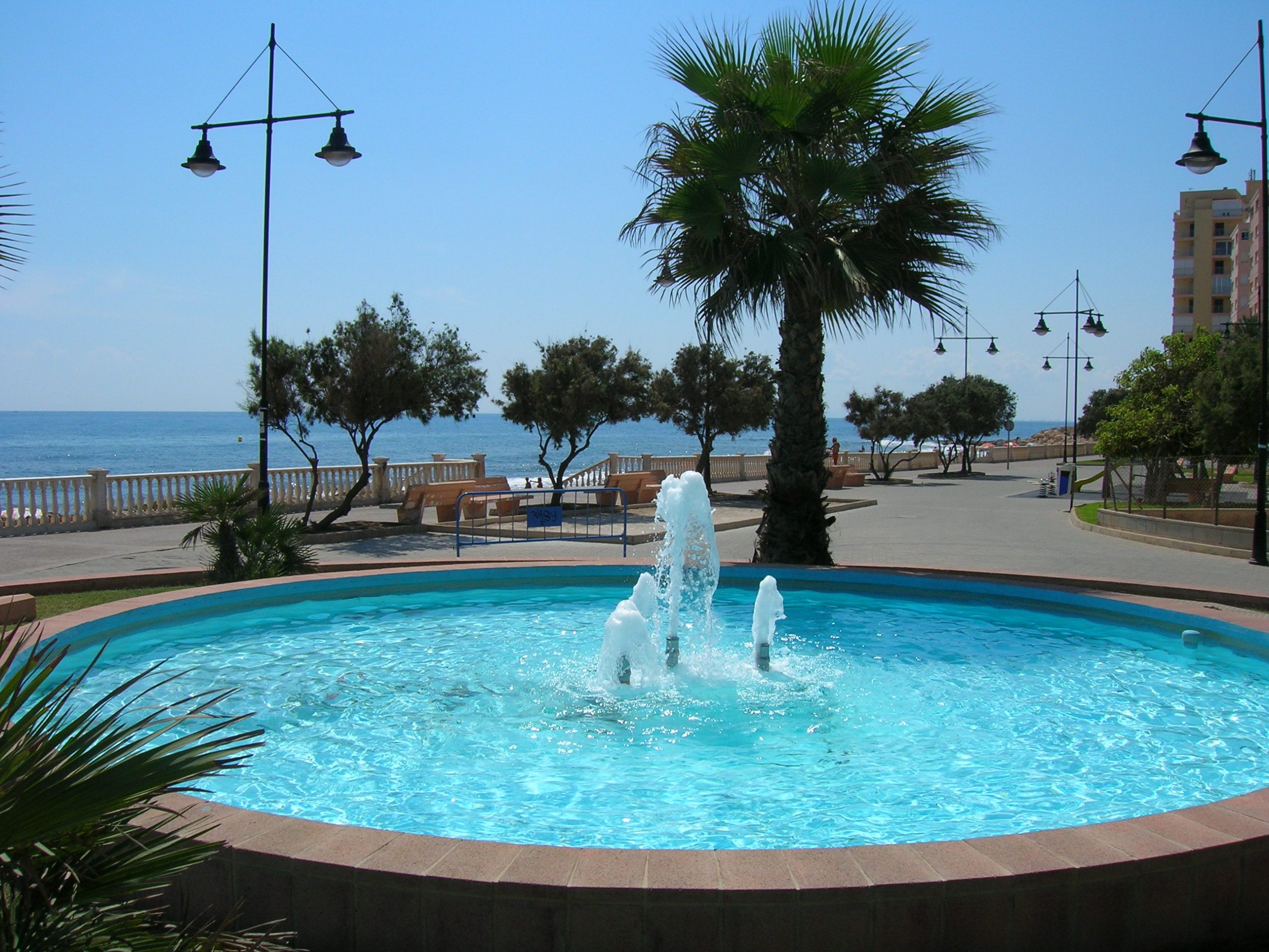 Business salgai in Torrevieja