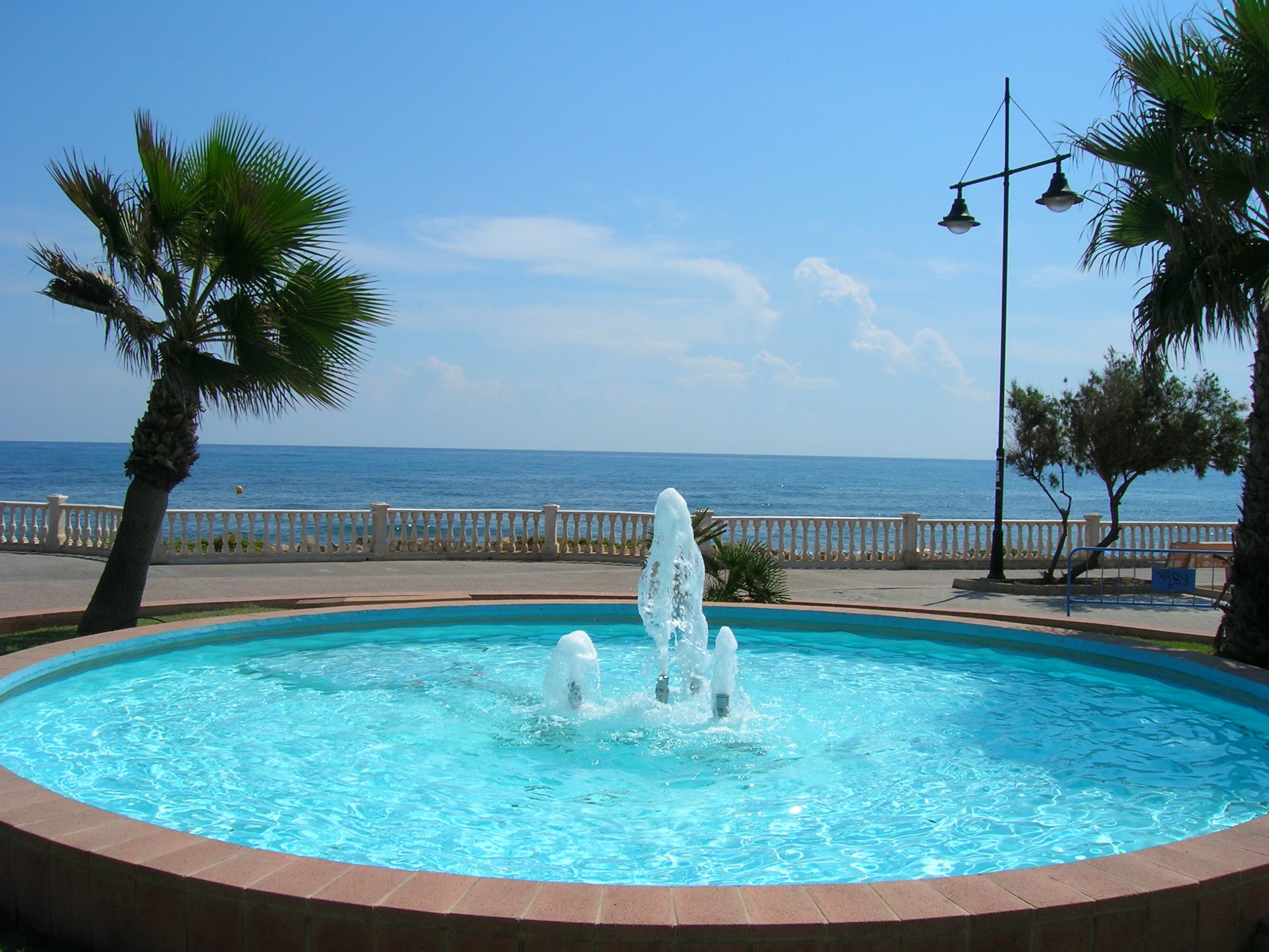 Business salgai in Torrevieja