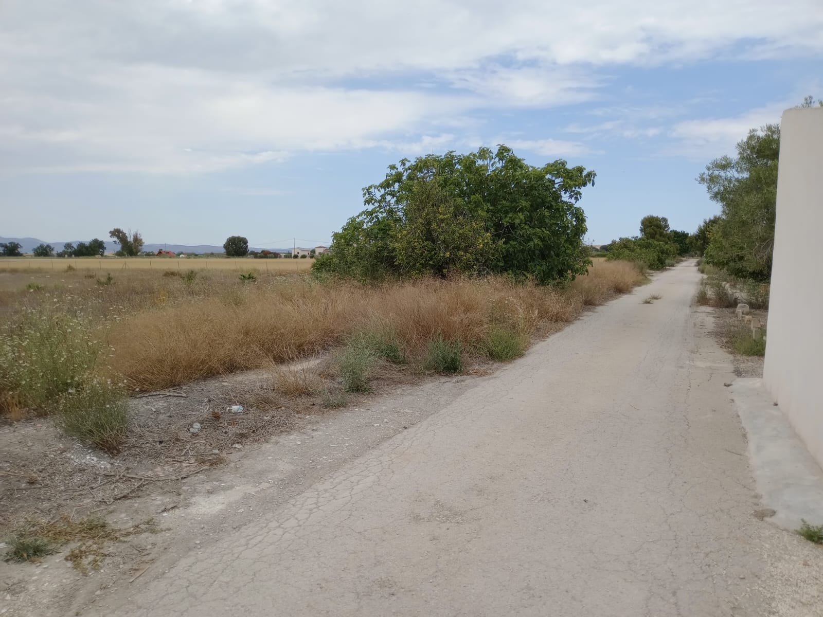 Plot v prodeji in San Fulgencio