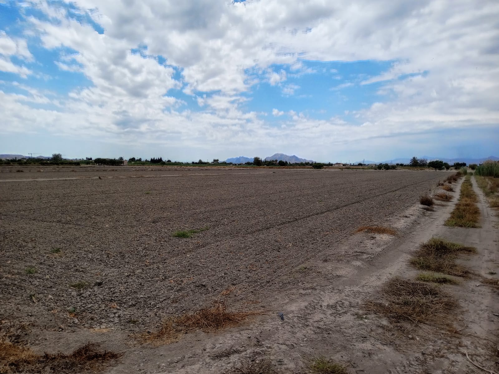 Plot v prodeji in San Fulgencio