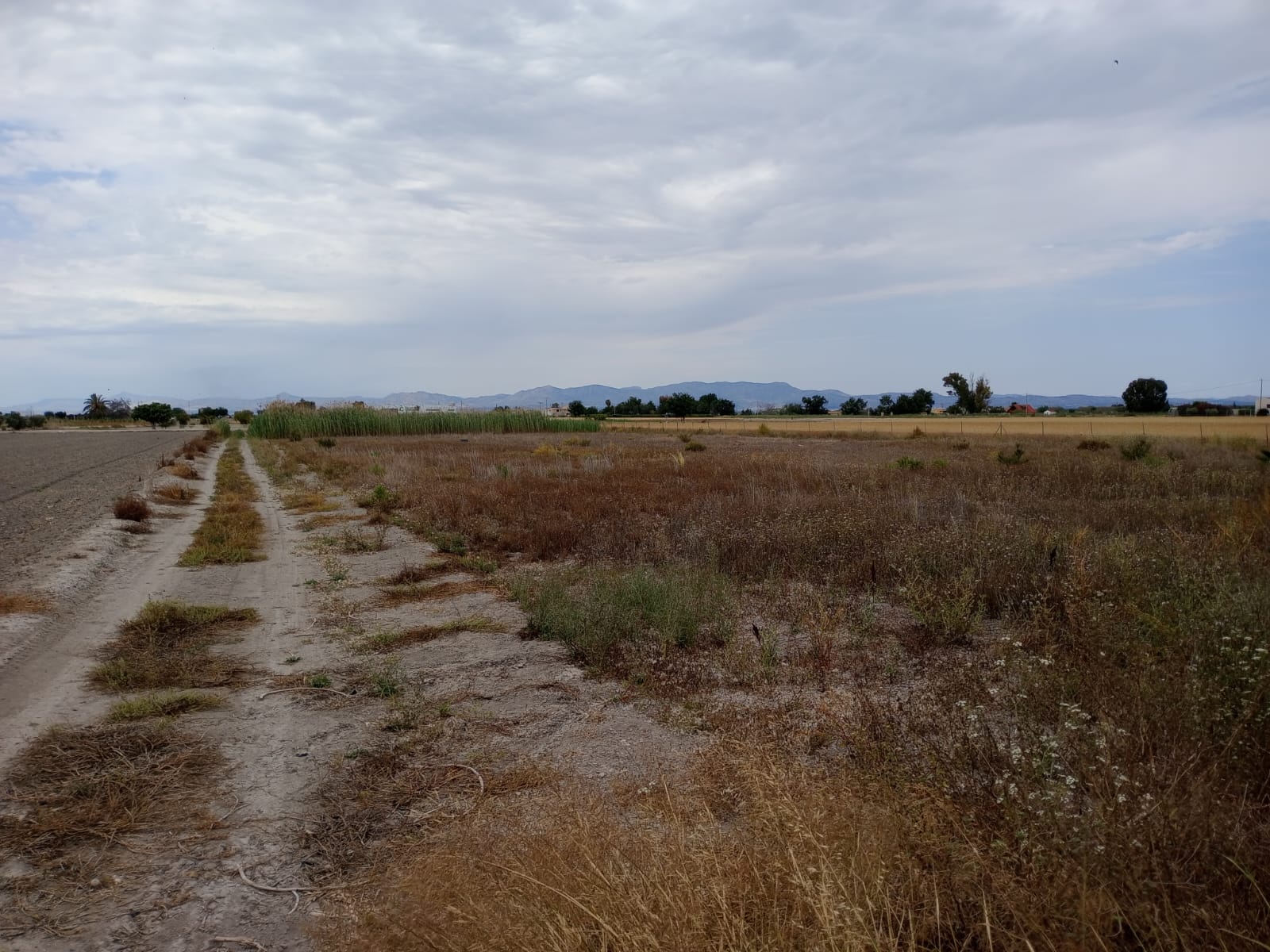 Plot v prodeji in San Fulgencio