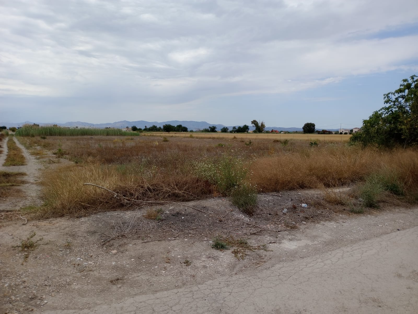 Plot v prodeji in San Fulgencio