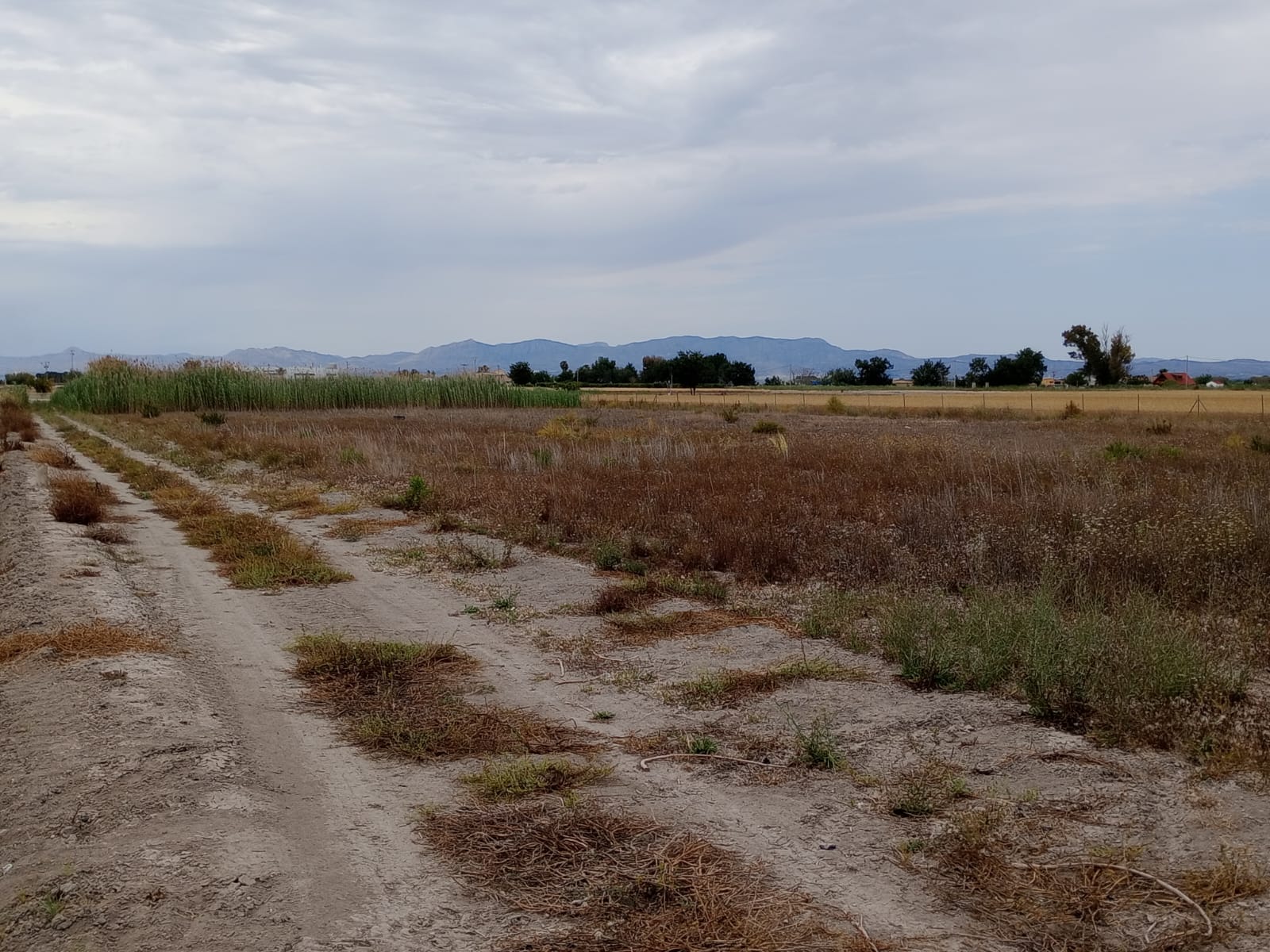 Plot v prodeji in San Fulgencio