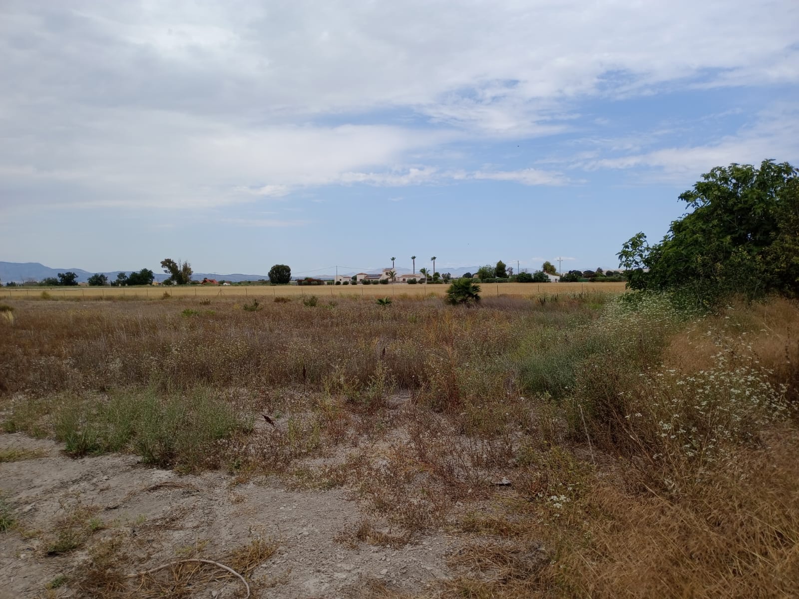 Plot v prodeji in San Fulgencio