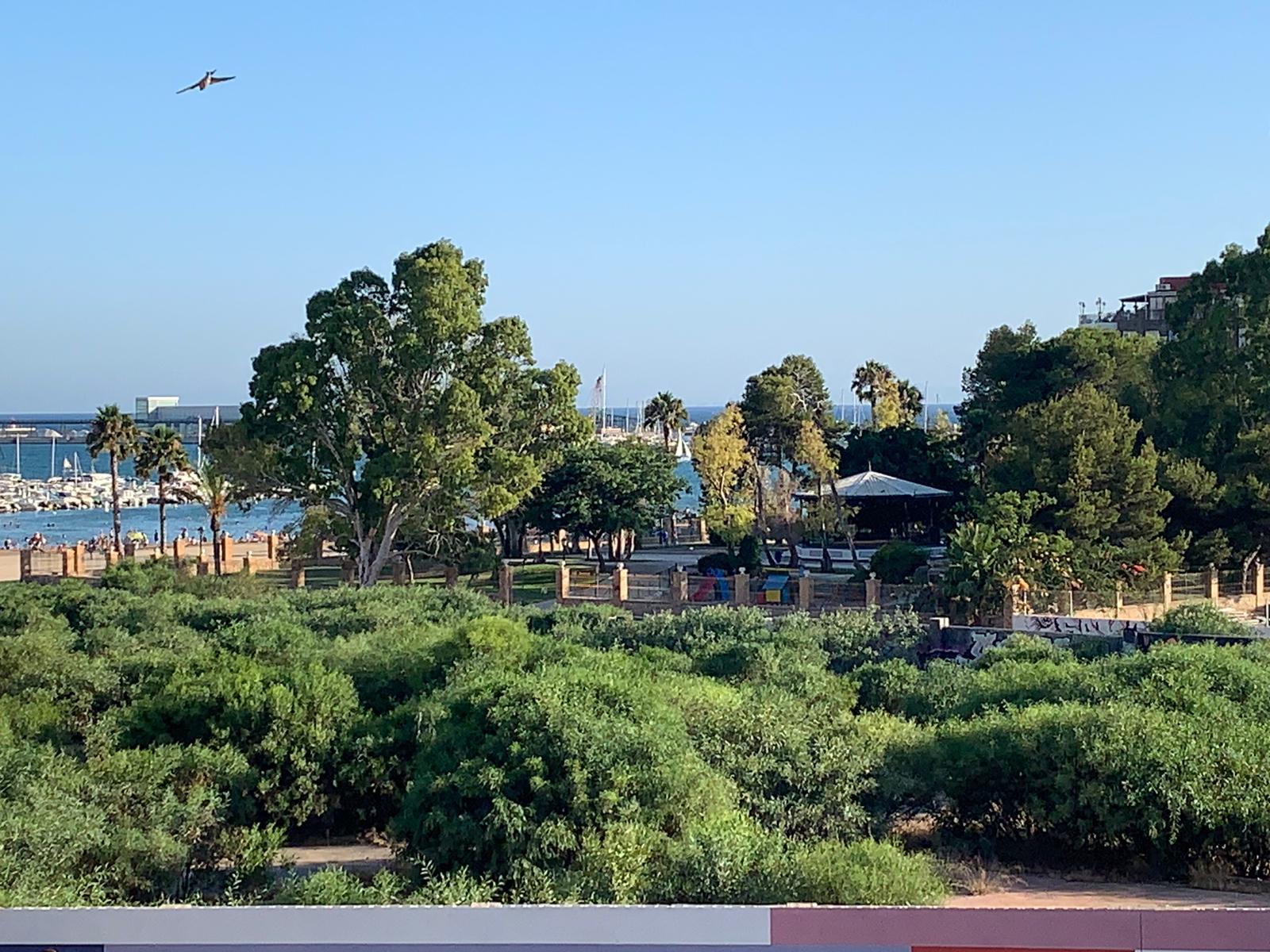 公寓 出售 在 Torrevieja