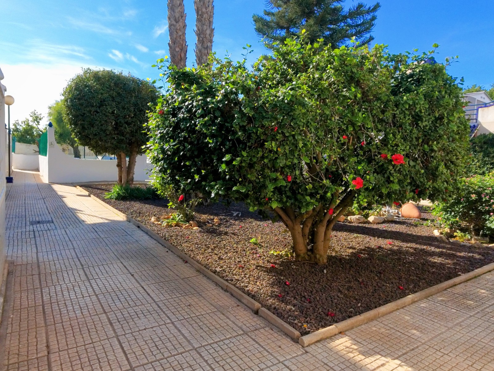 Dům v prodeji in Torrevieja