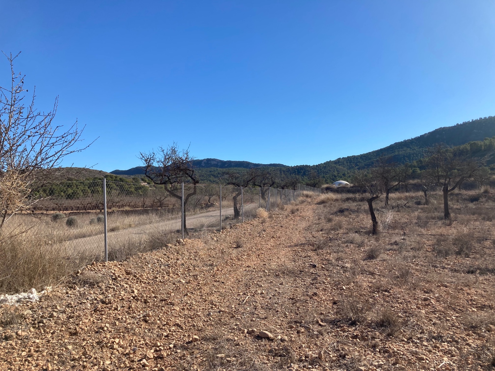 Plot v prodeji in Hondón de las Nieves