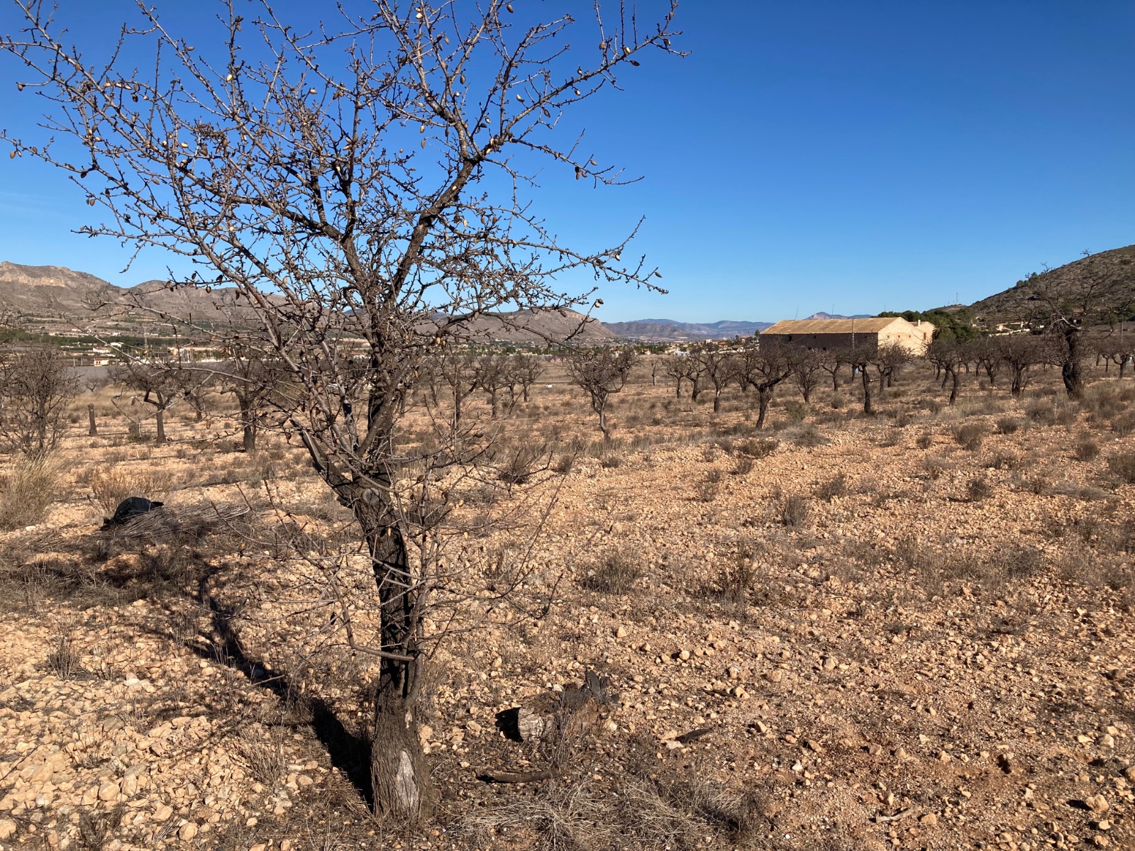 Plot v prodeji in Hondón de las Nieves