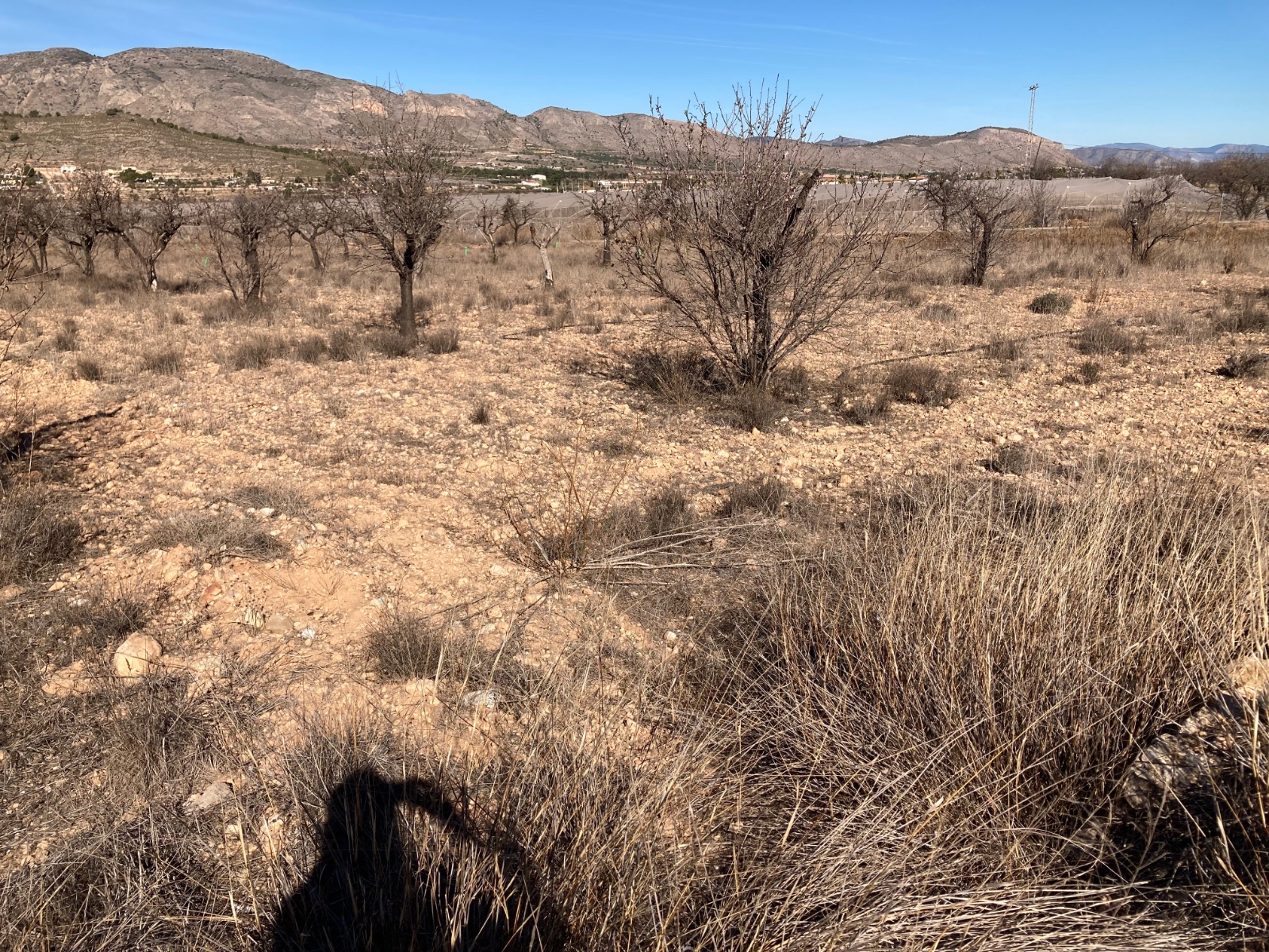 Plot v prodeji in Hondón de las Nieves