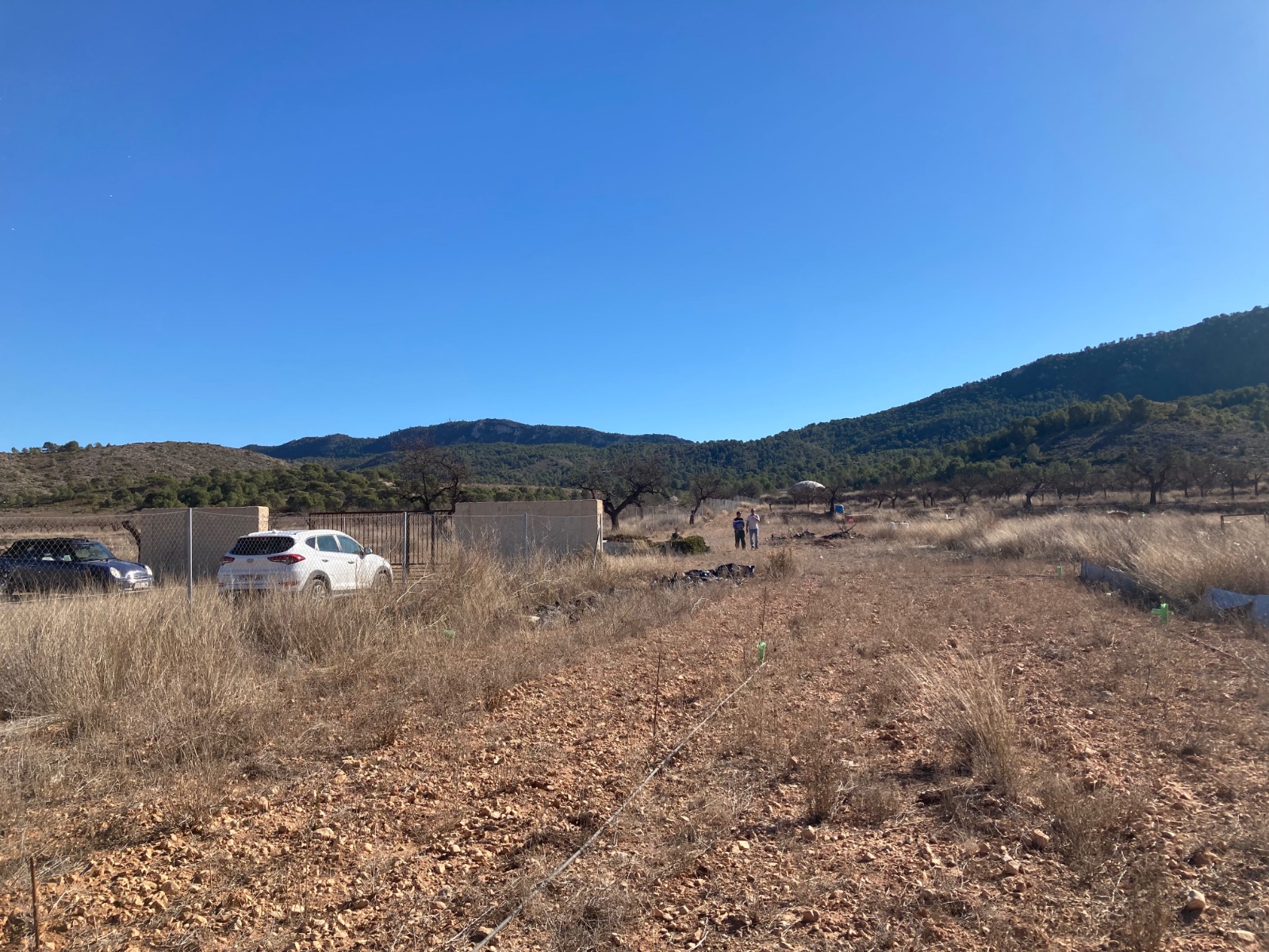 Plot v prodeji in Hondón de las Nieves
