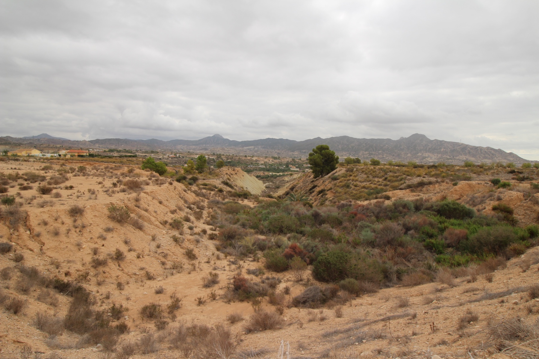 Parcela en venta en Abanilla