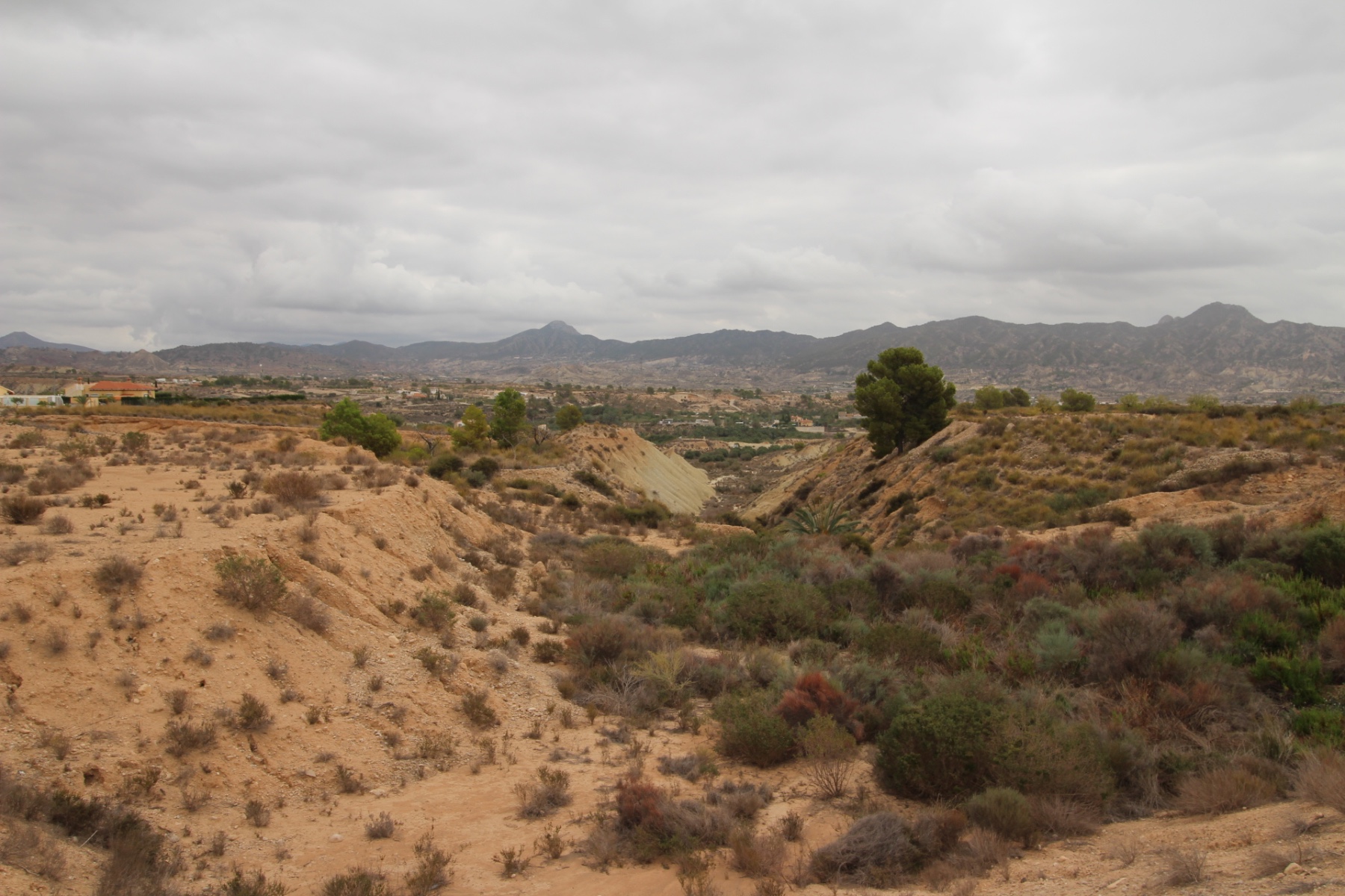 Parcela en venta en Abanilla