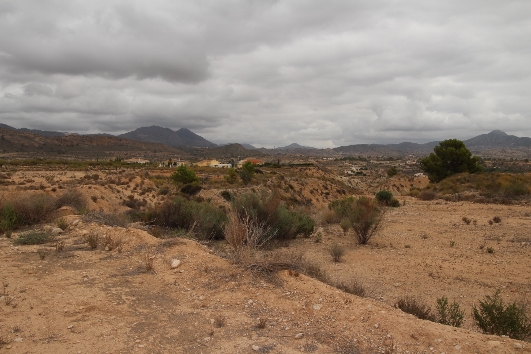 Parcela en venta en Abanilla