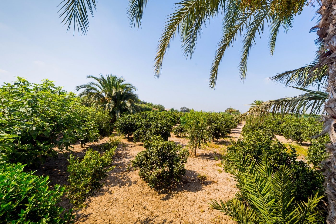 Casa en venta en Almoradí