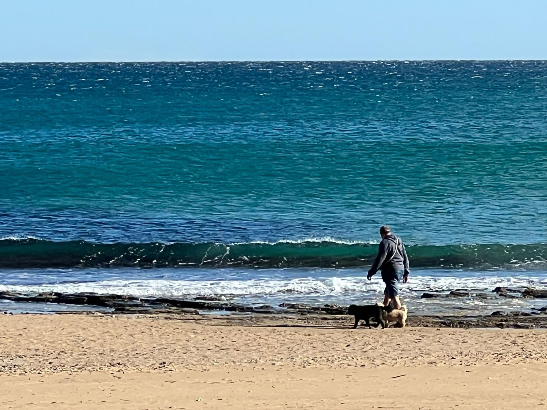 Casa en venta en Torrevieja