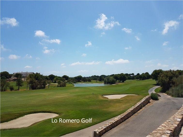 Apartamento en venta en Pilar de la Horadada