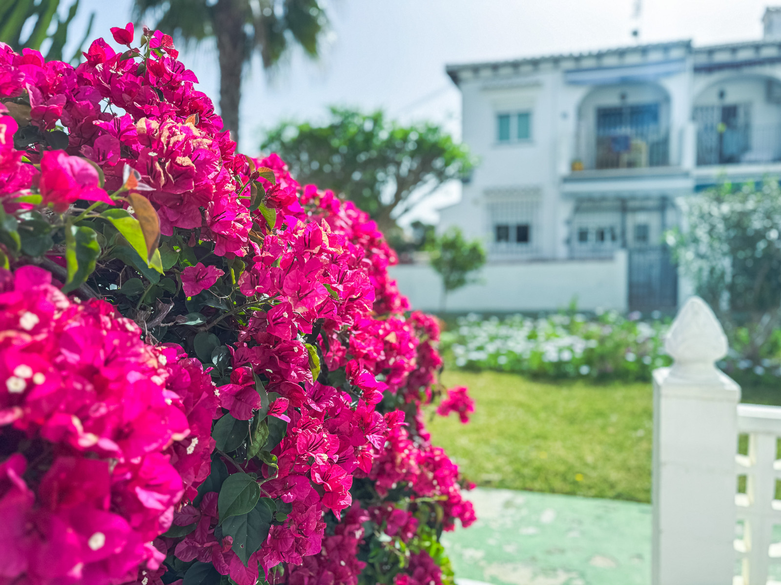 Bungalow en venta en Torrevieja